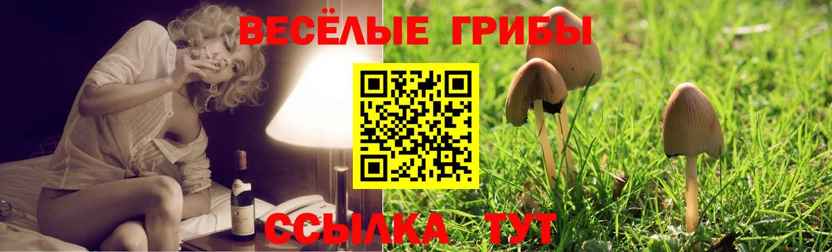 Псилоцибиновые грибы Cubensis  Псилоцибиновые грибы Psilocybe  Вход с VPN  наркота  Верхняя Салда 